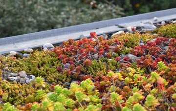 the cost of Fyfield green roof installation